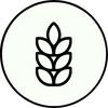 Gluten